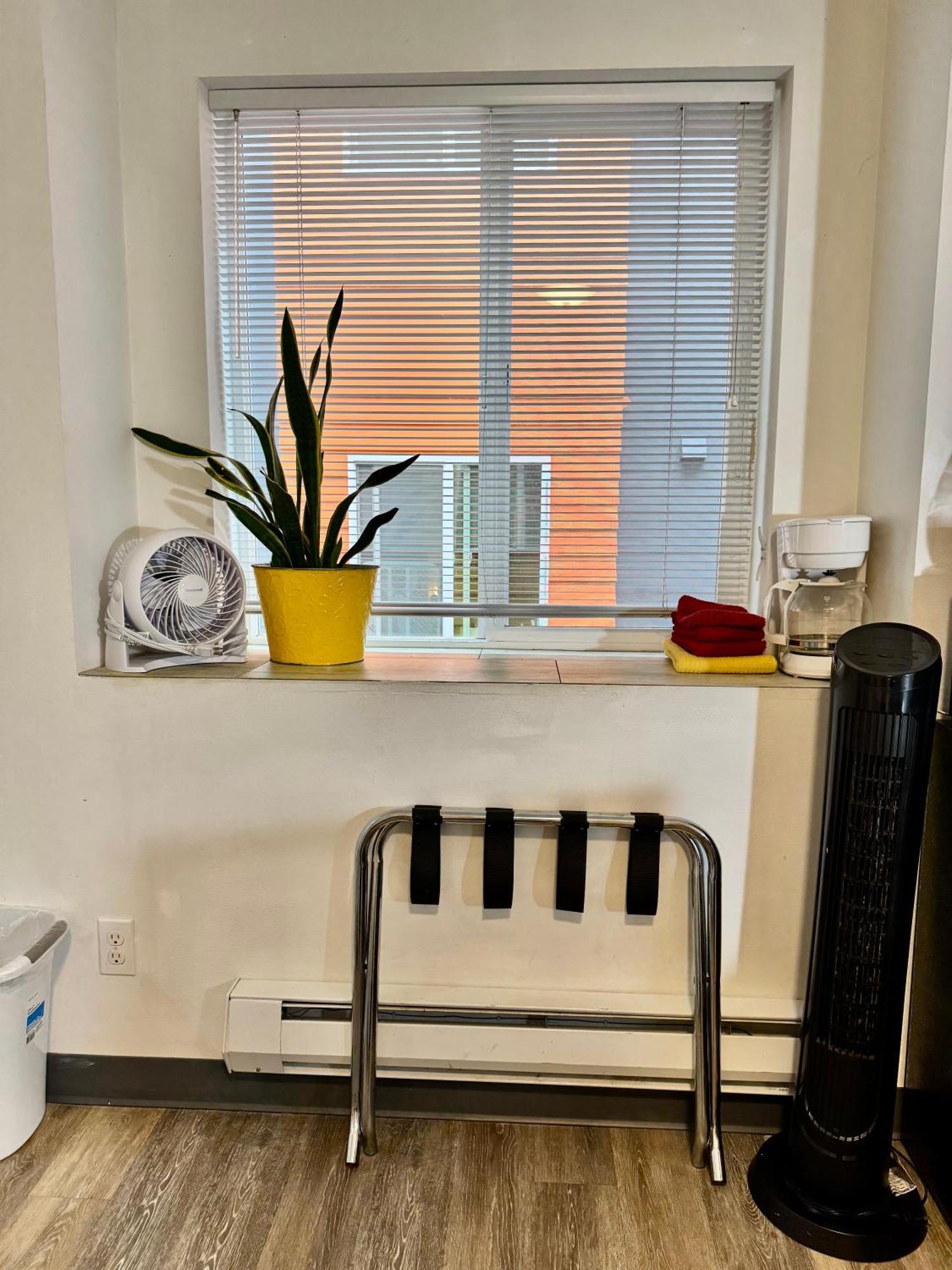 Micro Studio Apartment 10 Minutes Walk To University Of Washington Seattle Esterno foto
